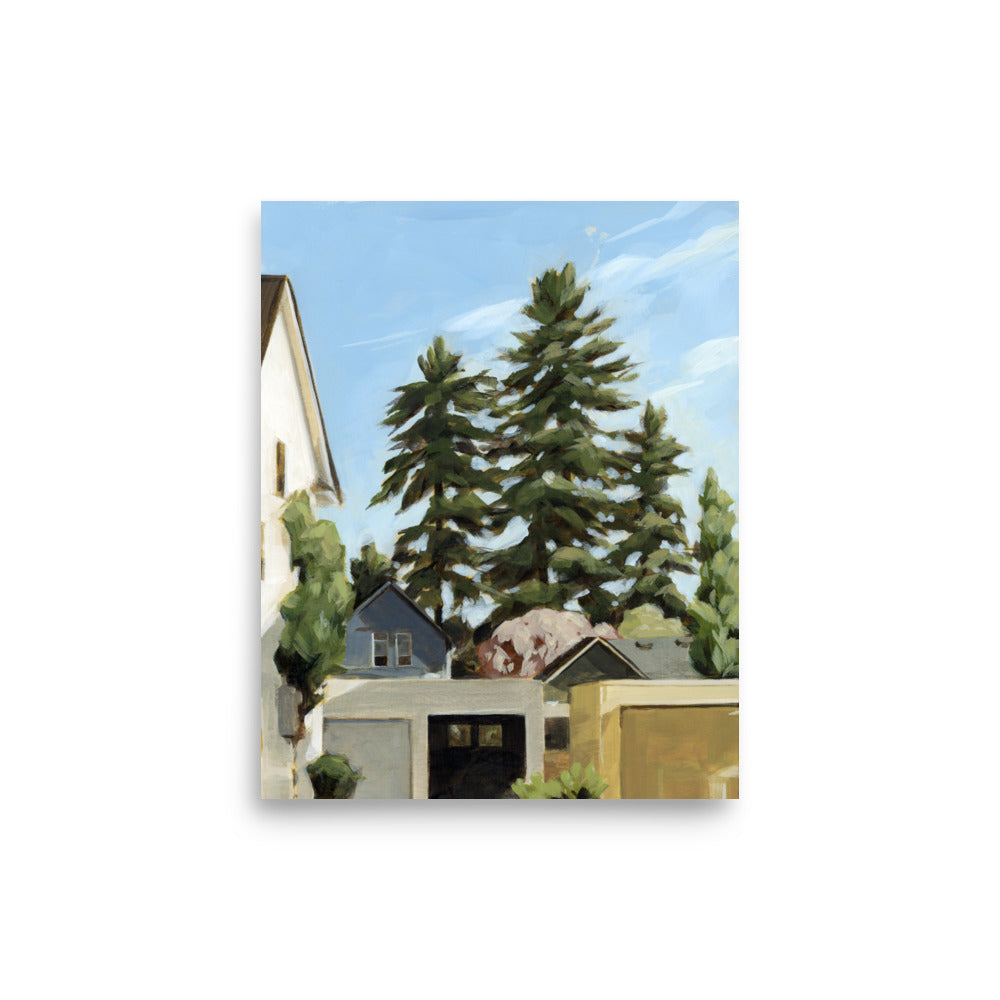 Doug-fir and Blue Skies Print