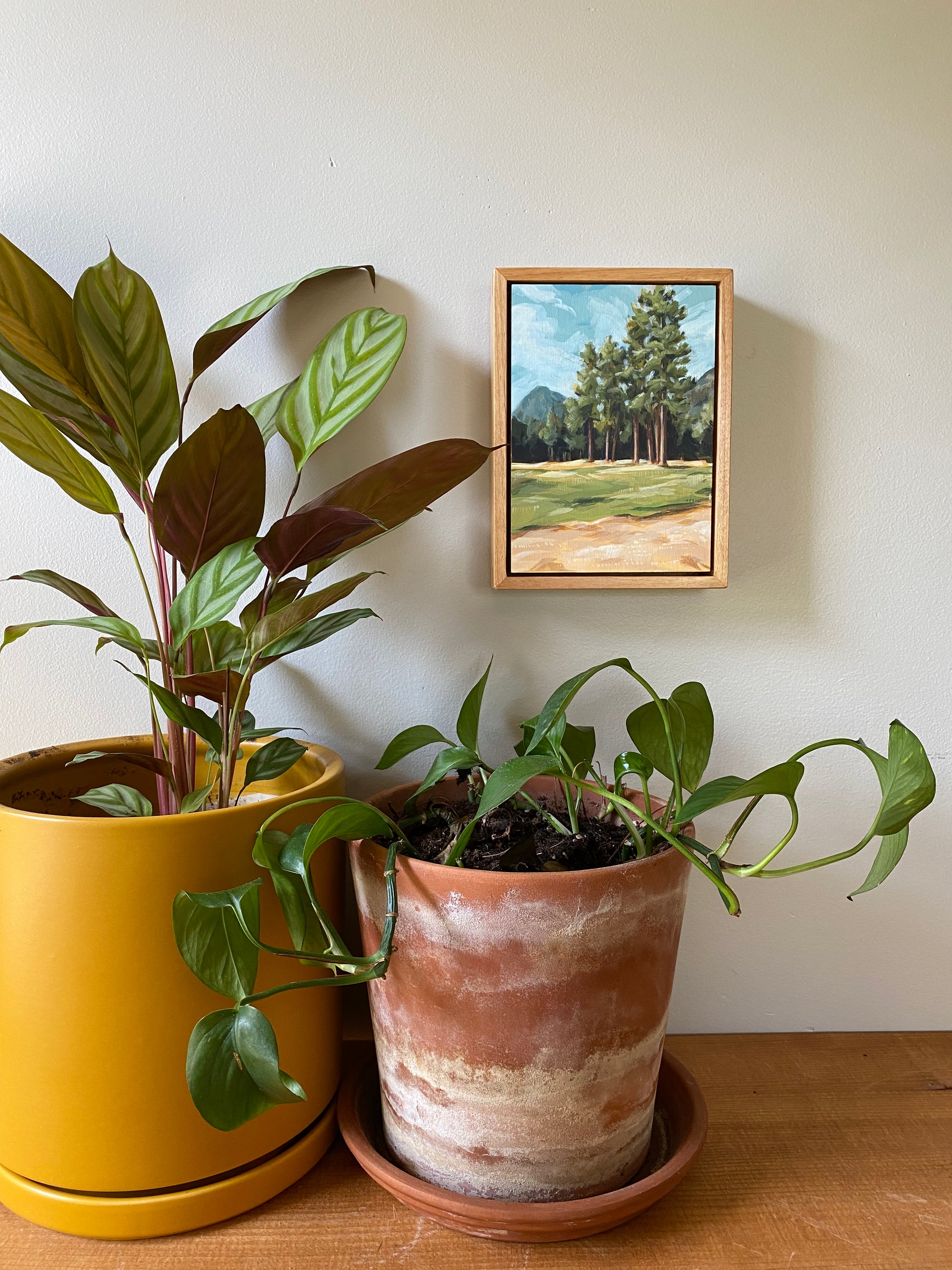 5x7 original acrylic art painting of joseph mountains. The nature landscape scene features tall trees and a mountain scape.